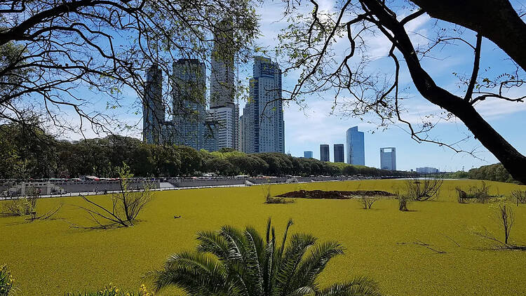 40 Years of the Costanera Sur Ecological Reserve