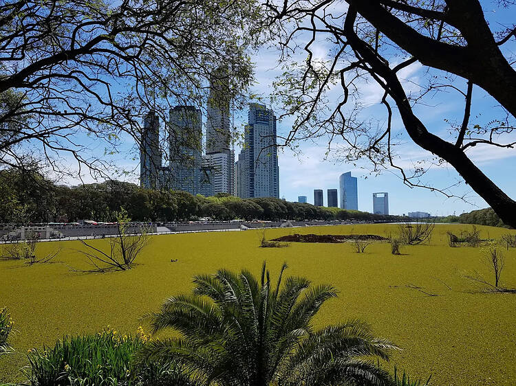 40 Years of the Costanera Sur Ecological Reserve
