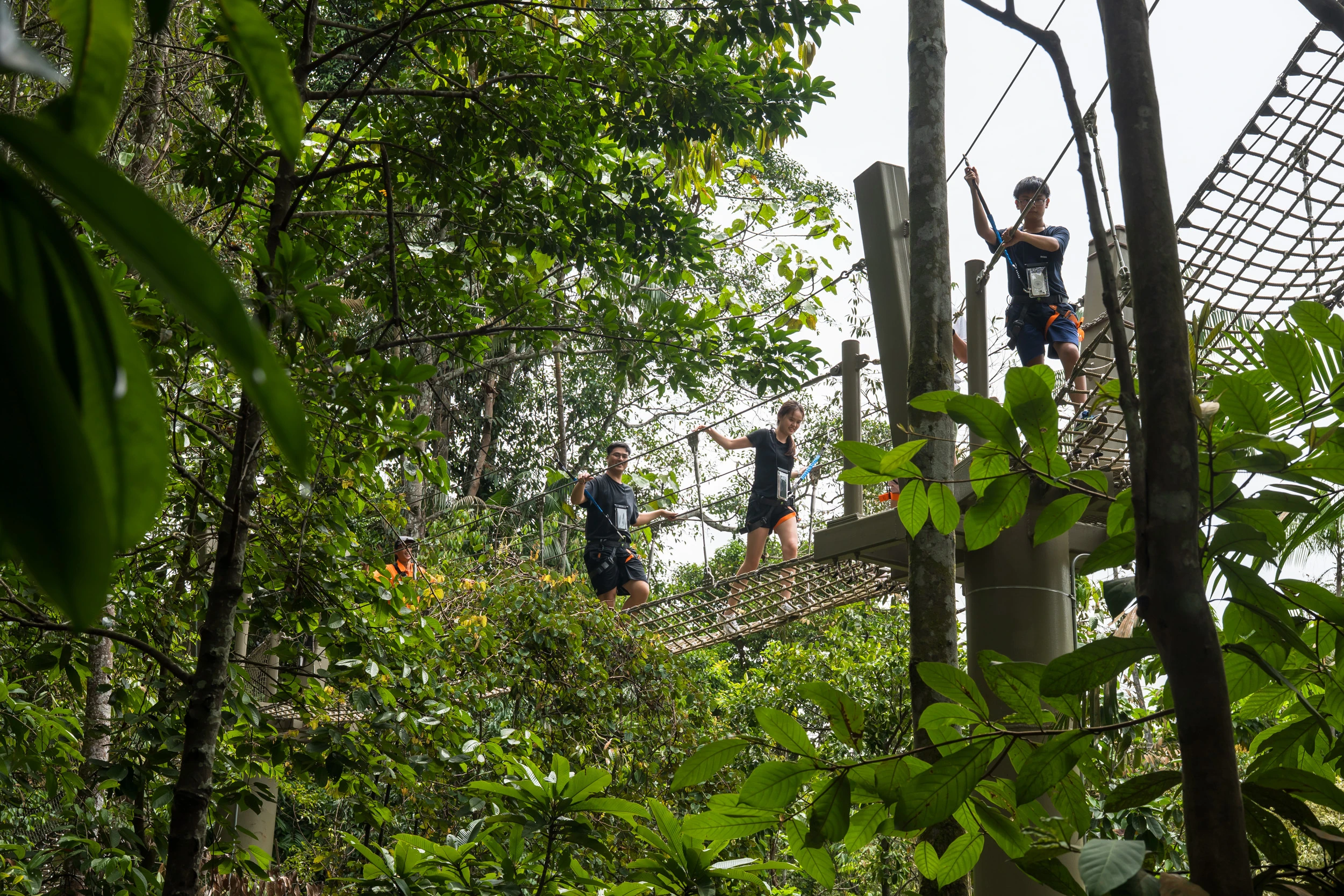 Treetop Traverse at Rainforest Wild Adventure East. Image credit to Mandai Wildlife Group
