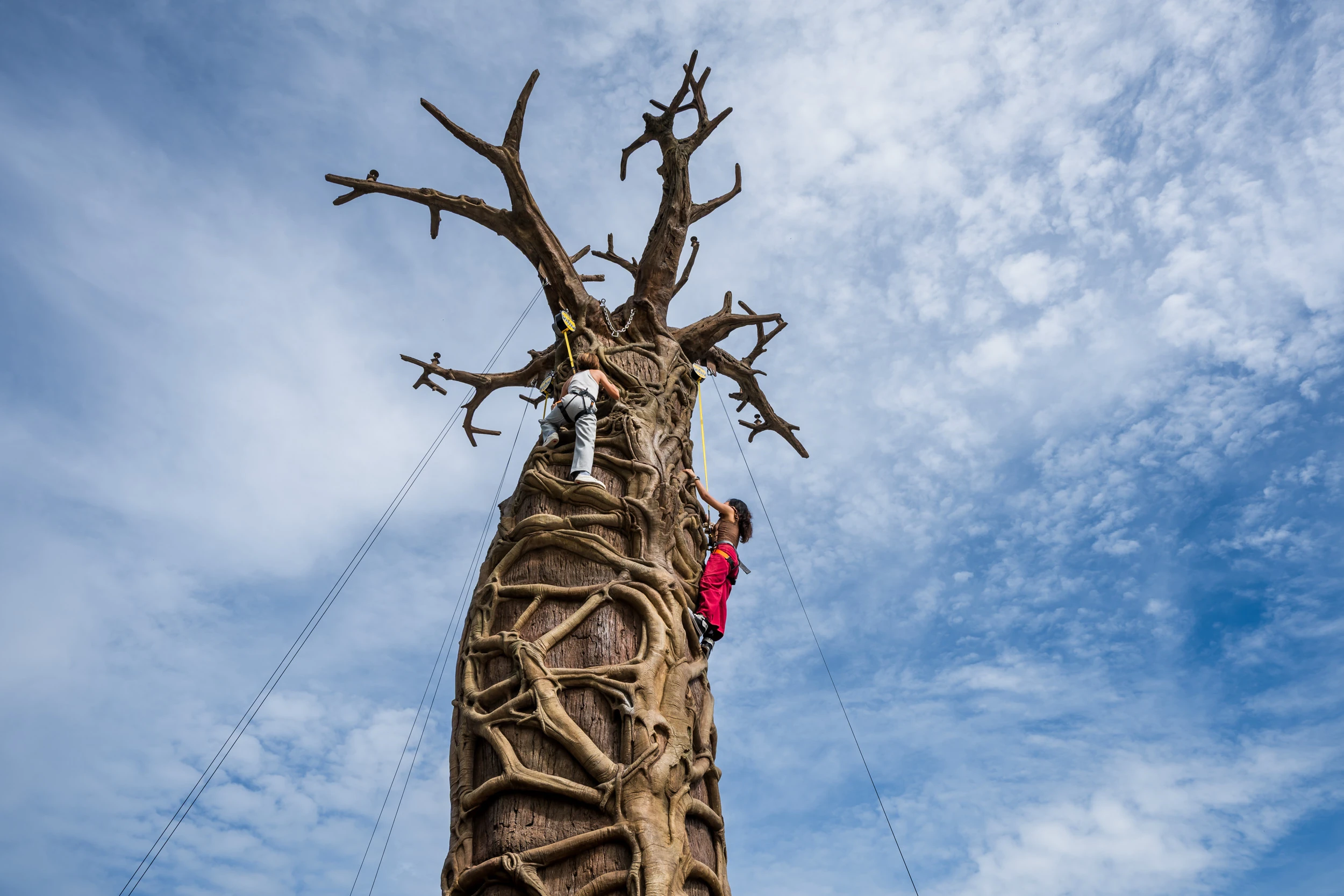 Primate Climb, an 11-metre climbing landmark