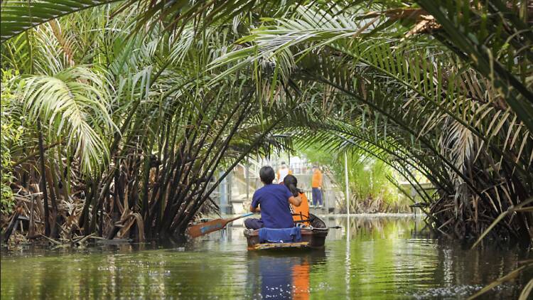 Bang Krachao – Bangkok’s lush little escape by ferry and bike Bang Krachao – Bangkok’s lush little escape by ferry and bike