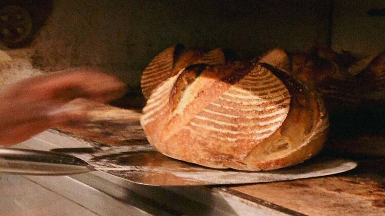 Hoghouse Bakery + Café