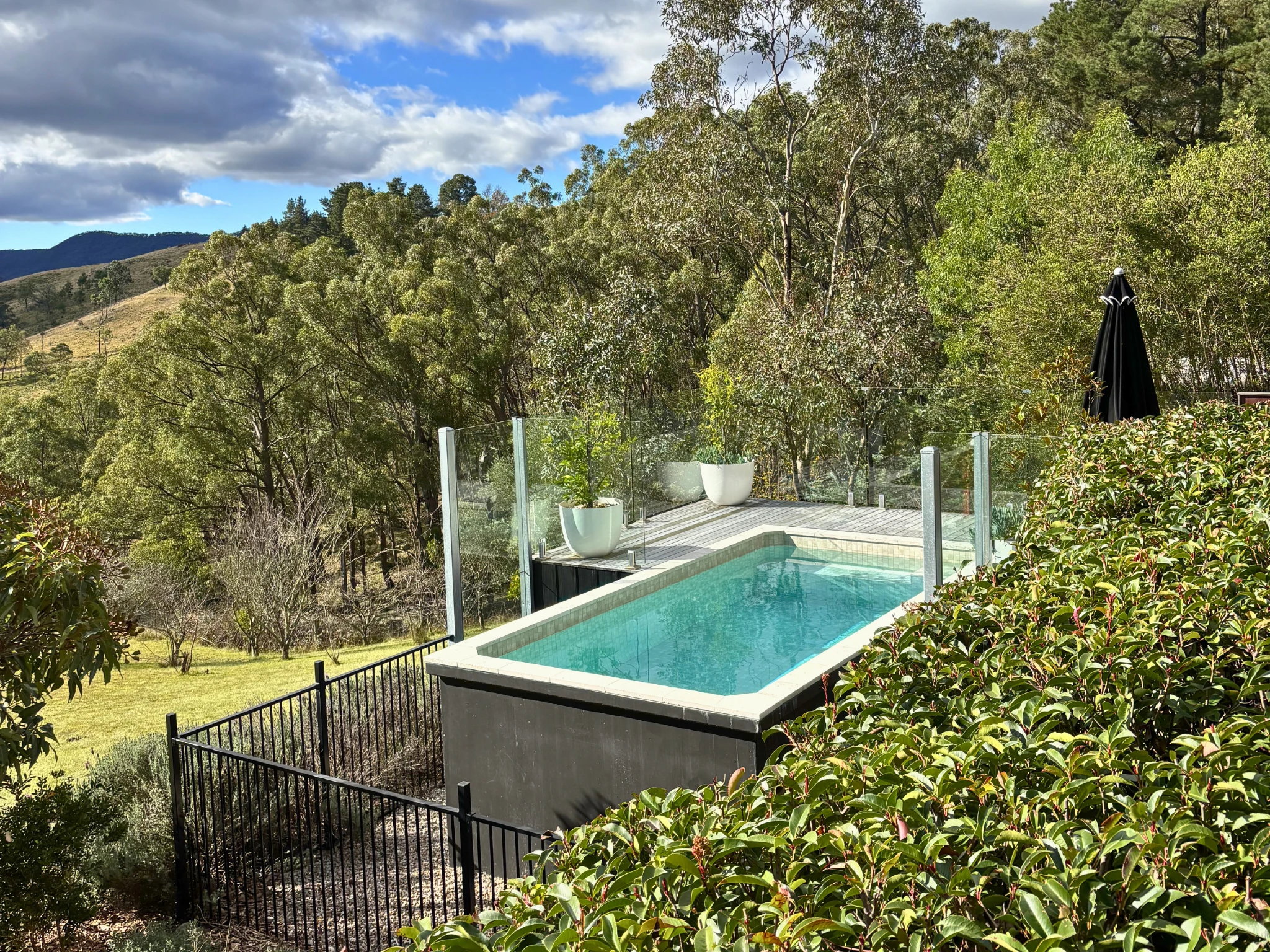 Pool surrounded by garden