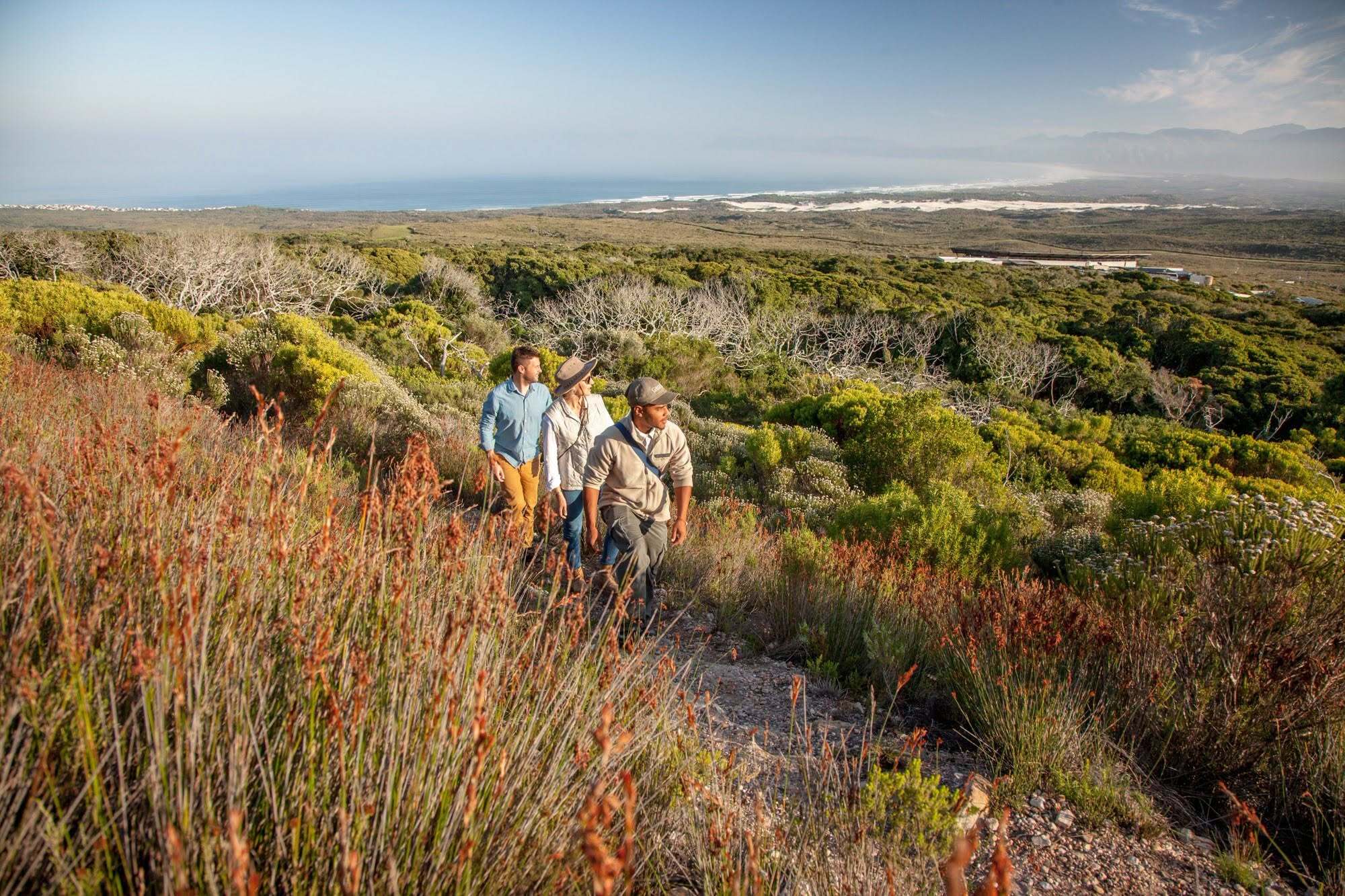 Blooming marvelous! Don't miss Grootbos's once-in-a-generation superbloom