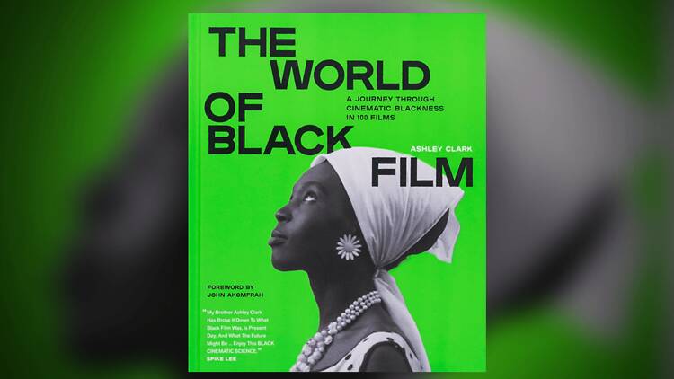 Best book about Black cinema