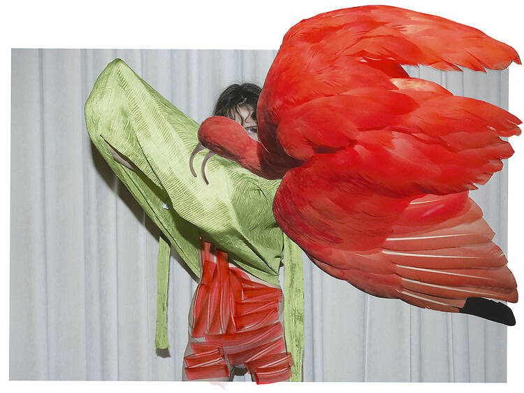 Viviane Sassen. Eudocimus Ruber, 2017. ©Viviane Sassen Viviane Sassen. Eudocimus Ruber, 2017. ©Viviane Sassen