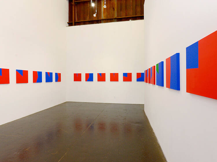 Democracia Americana: American Colors / American Democracy Democracia Americana: American Colors / American Democracy