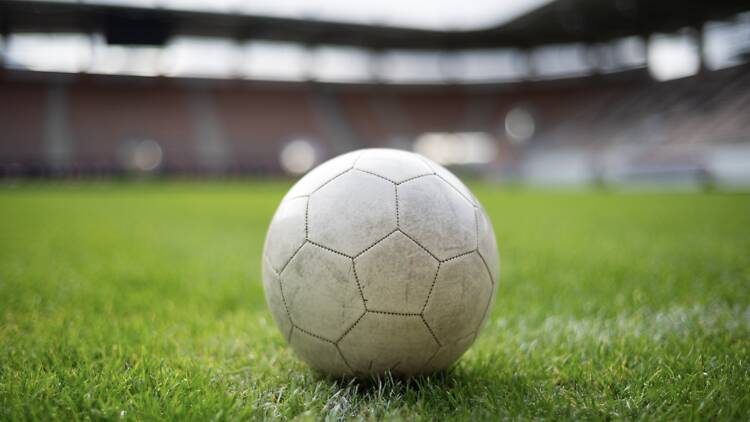 Soccer ball Soccer ball