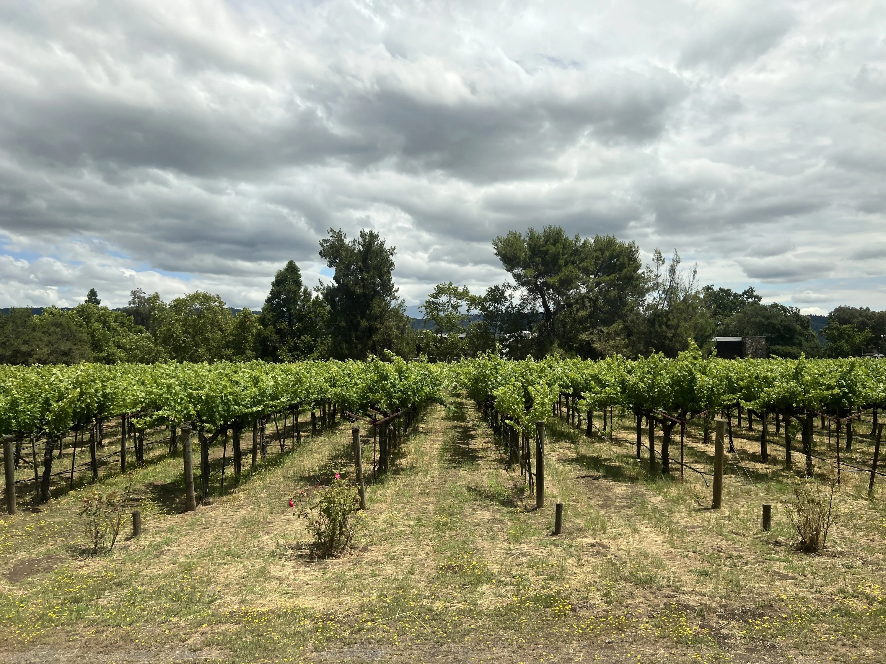 Napa Valley Wine Train