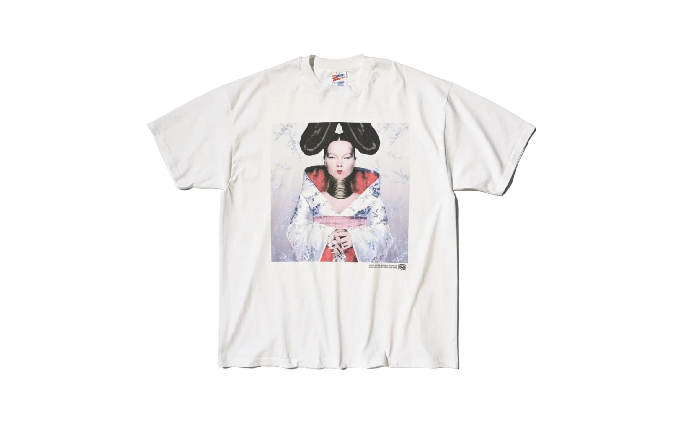 大Tシャツ展