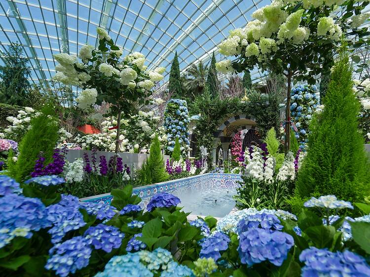 Bonus: More family fun elsewhere