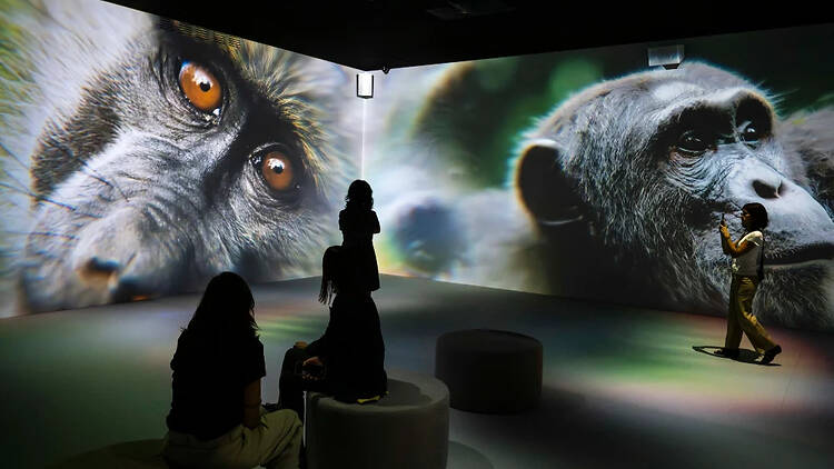 Somos Naturaleza. © Fundación "la Caixa"