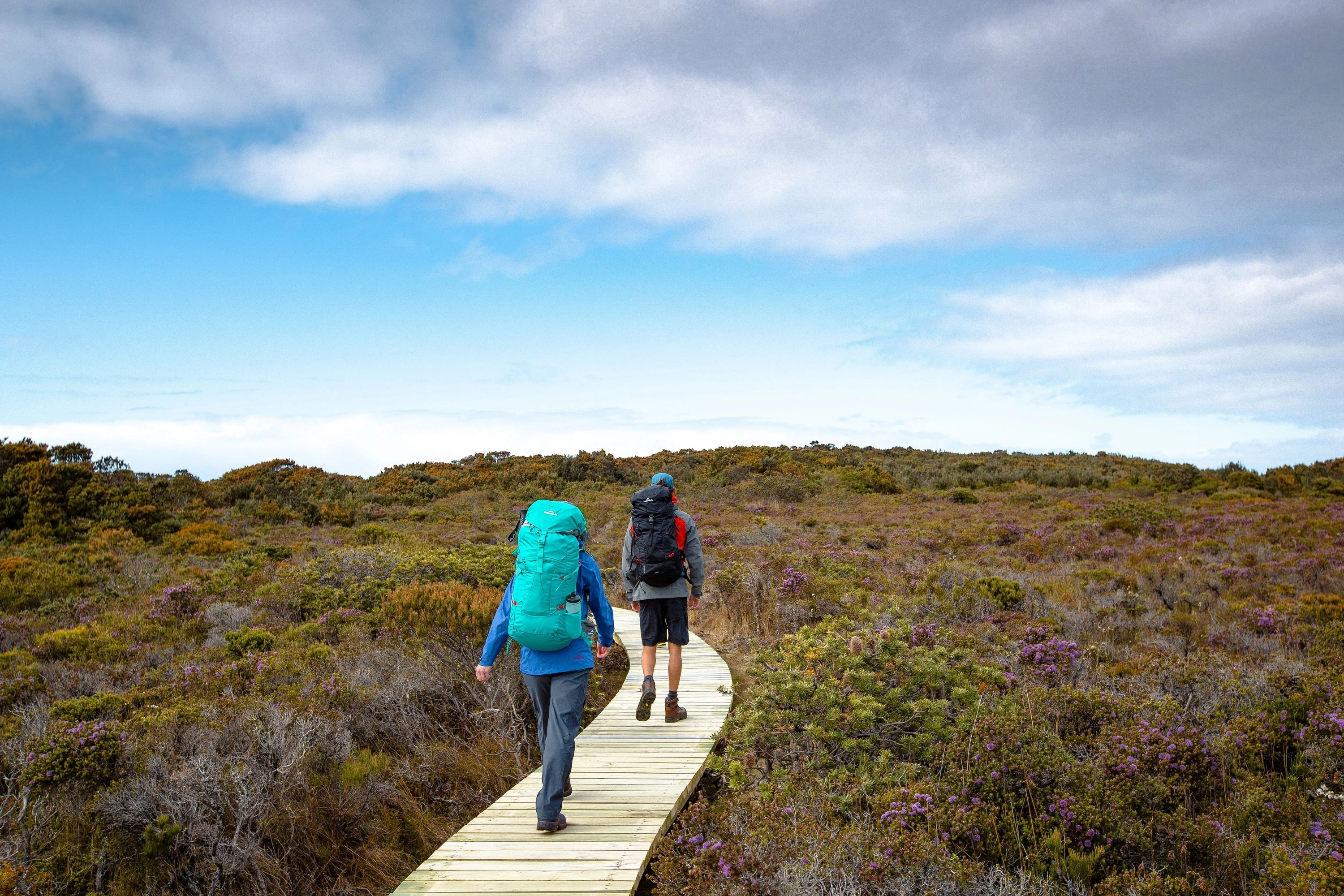 Hikers on Three Capes Track