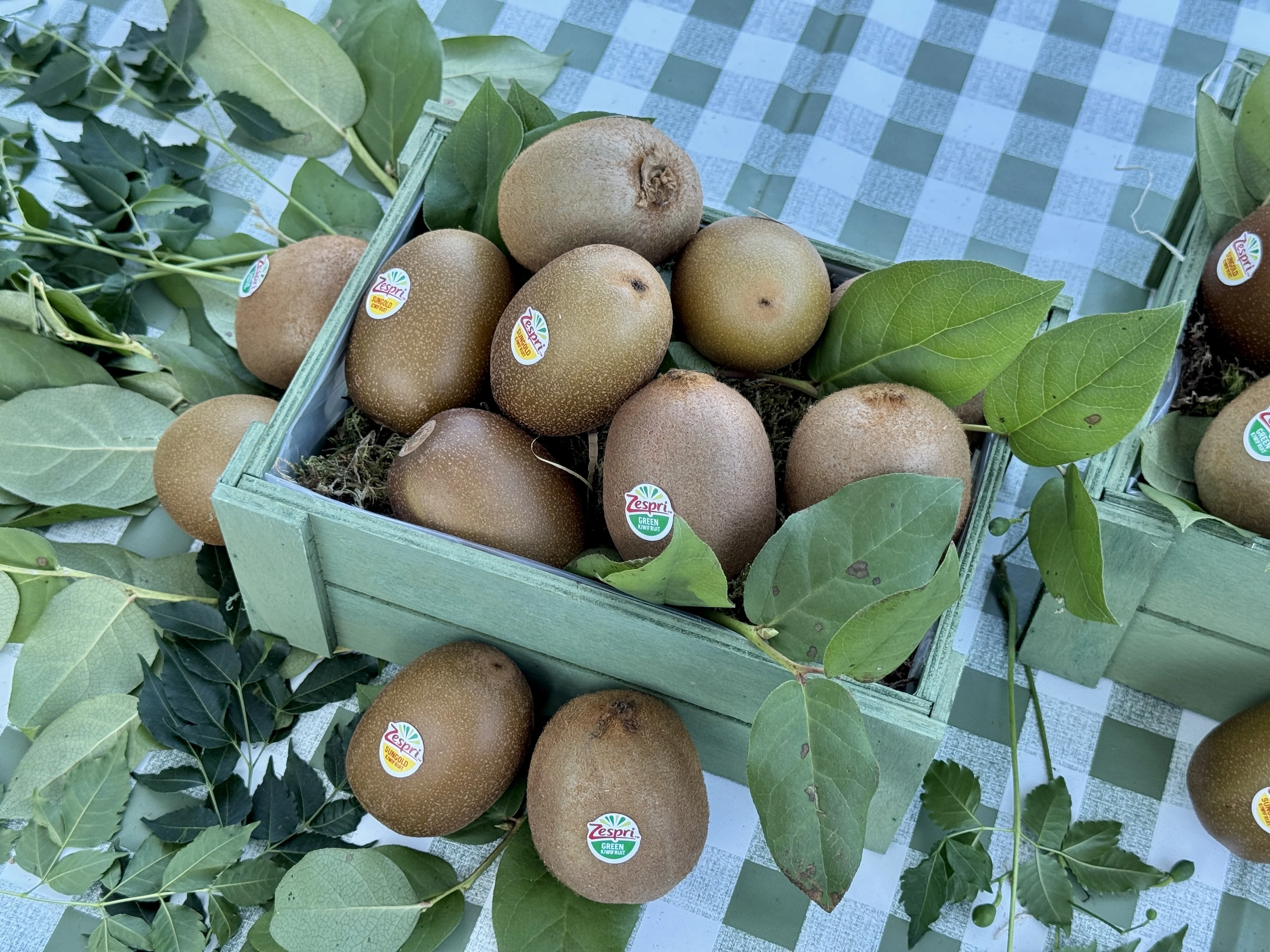 Kiwis Zespri