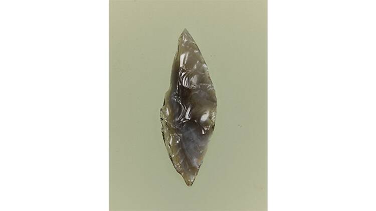 Special Thematic Exhibition: Before the Jomon Era – Commemorating 80 Years Since the Discovery of Japan’s Paleolithic Period