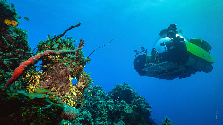 Into the Ocean: Journey Beneath