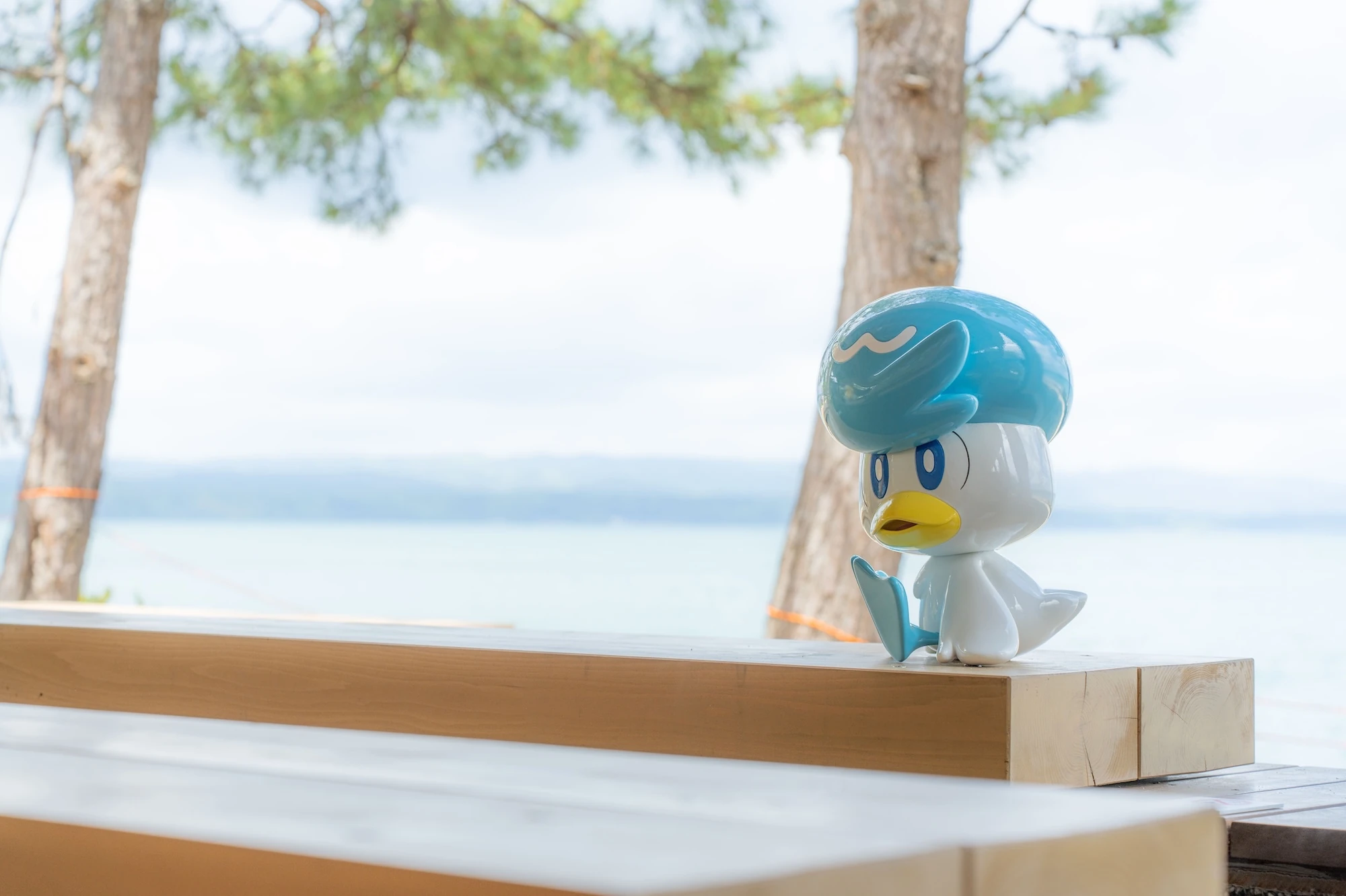 Wakura Pok&eacute;mon Footbath