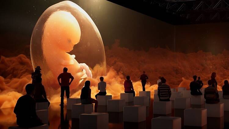 Human Universe-The Experience