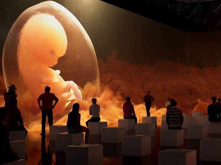 Viaja al interior del cuerpo humano en esta pionera exposición inmersiva con gafas de realidad virtual, imágenes 3D y 'videomapping' en Madrid