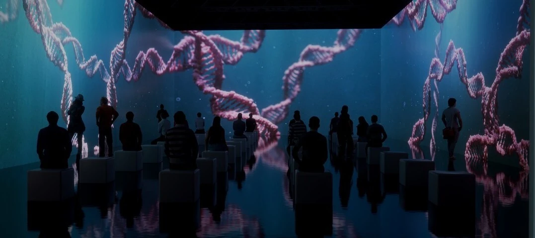 Human Universe-The Experience