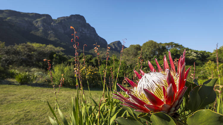 10 REALLY easy ways to make a difference to the environment