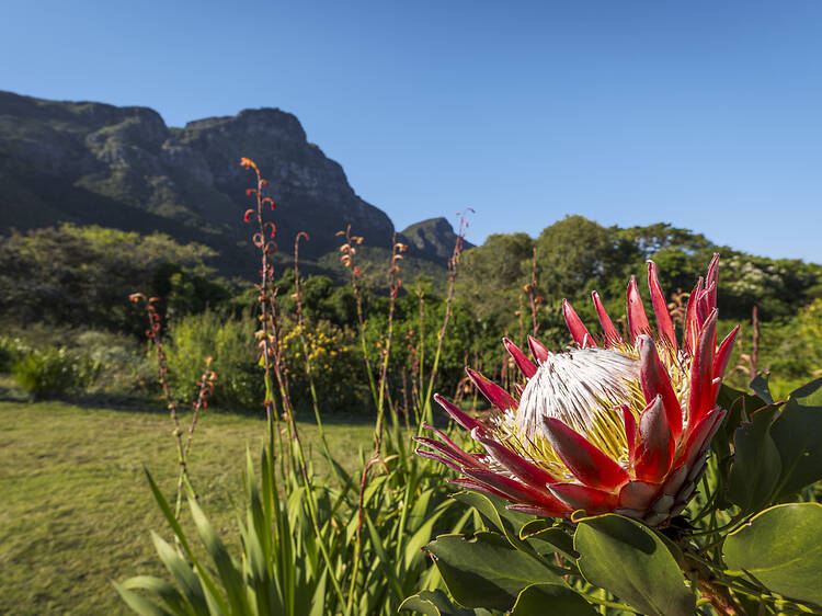 10 REALLY easy ways to make a difference to the environment