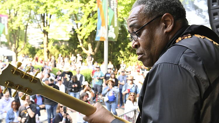 Chicago Blues Festival
