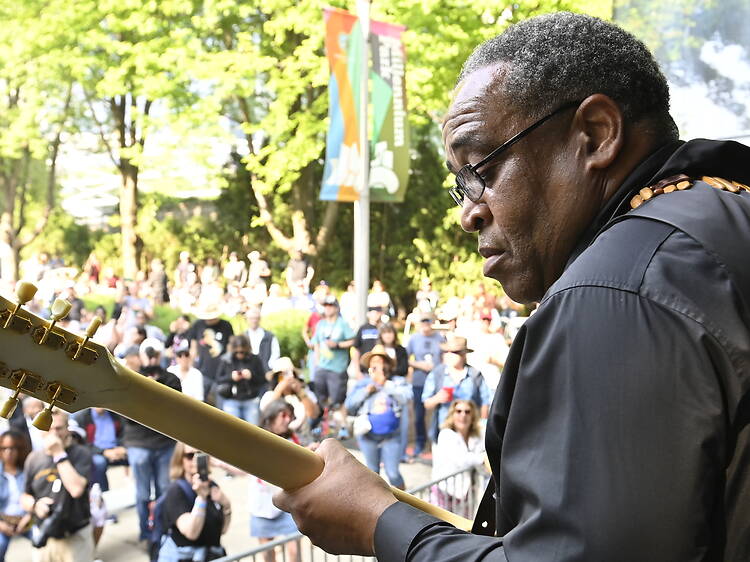 Chicago Blues Festival