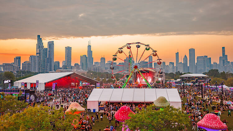Beyond Wonderland