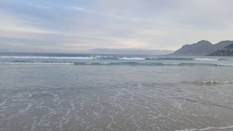 Beautify a beach!