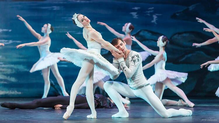 El lago de los cisnes - Ballet Clásico Internacional . El lago de los cisnes - Ballet Clásico Internacional .