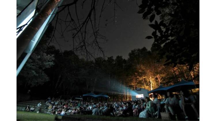 「星空の映画祭」