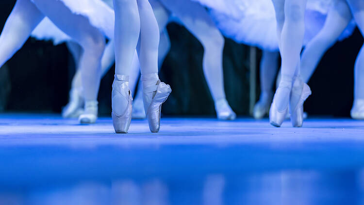 Swan Lake