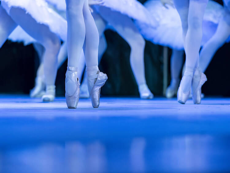 Swan Lake