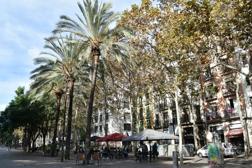 Rambla del Raval, epicentro del kebab en Barcelona (con el permiso de Gracia)