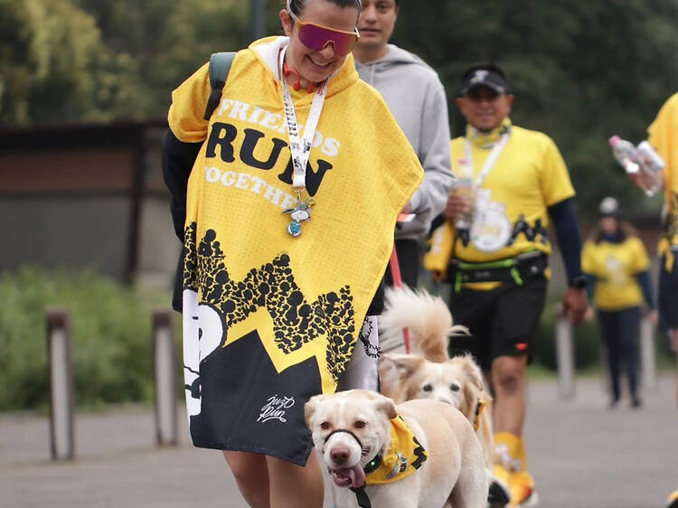 Carrera de Snoopy 2026 Carrera de Snoopy 2026