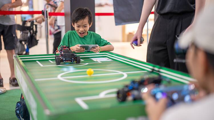 The LEGO Football Fest