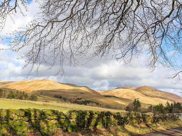 The Pentlands The Pentlands