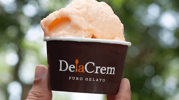 DeLaCrem, delaCrem Terra i delaCrem Creativa DeLaCrem, delaCrem Terra i delaCrem Creativa