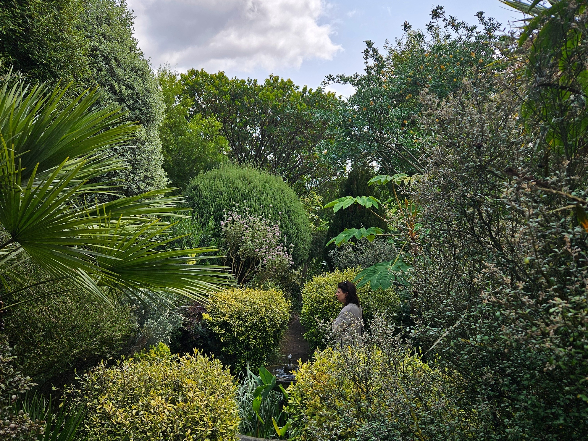 Mona’s Garden in Marylebone
