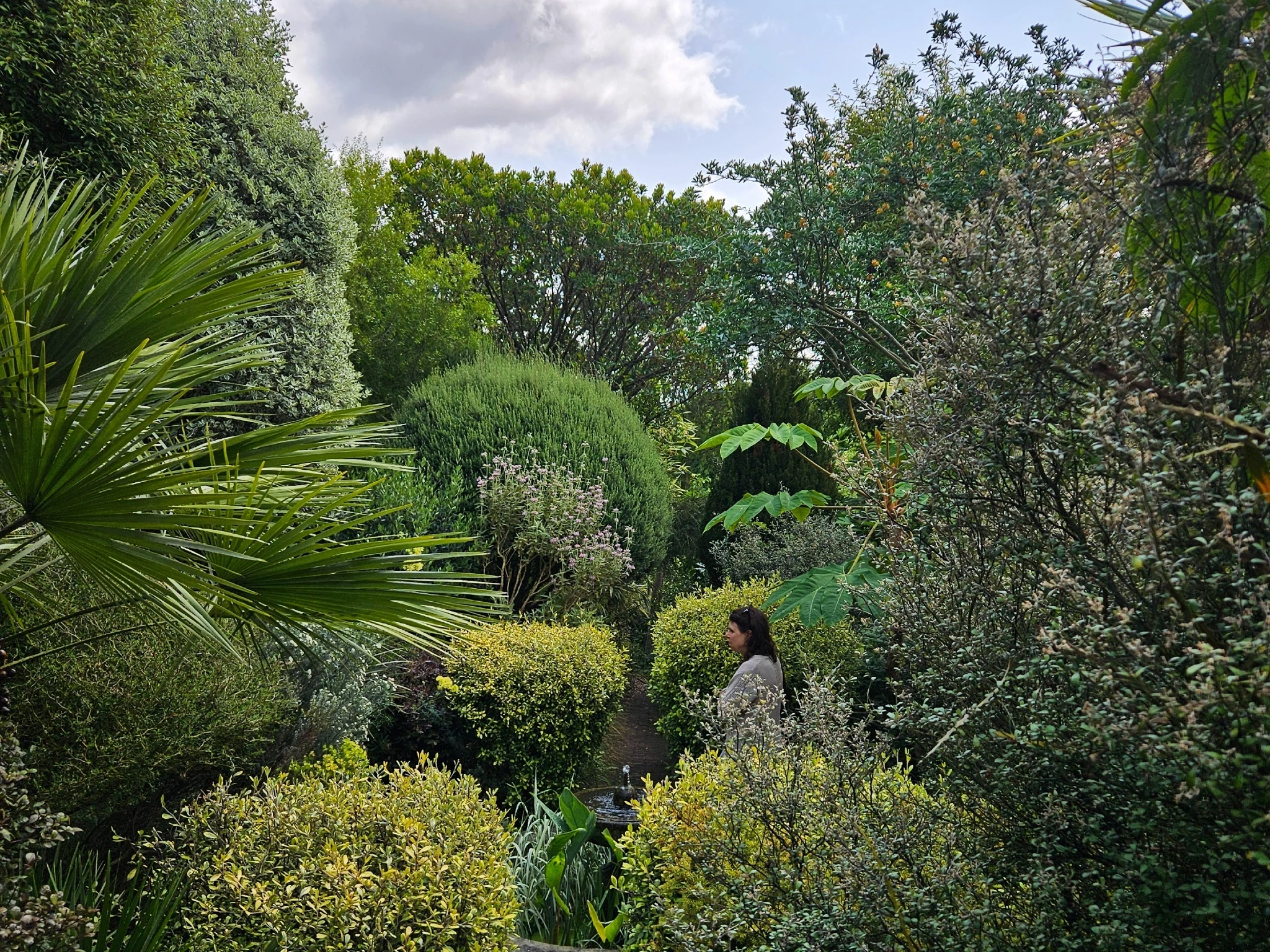 Mona&rsquo;s Garden in Marylebone