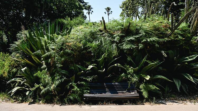 Jardim da Estrela