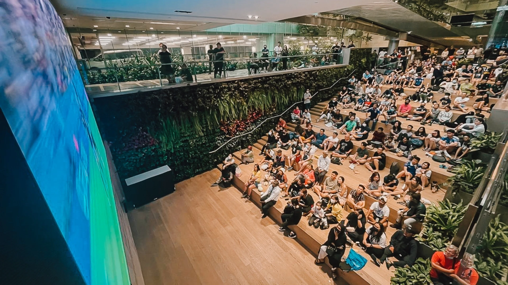 FIFA World Cup 2026 live screening