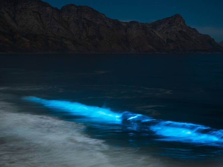 Sometimes, oceans in Cape Town glow in the dark