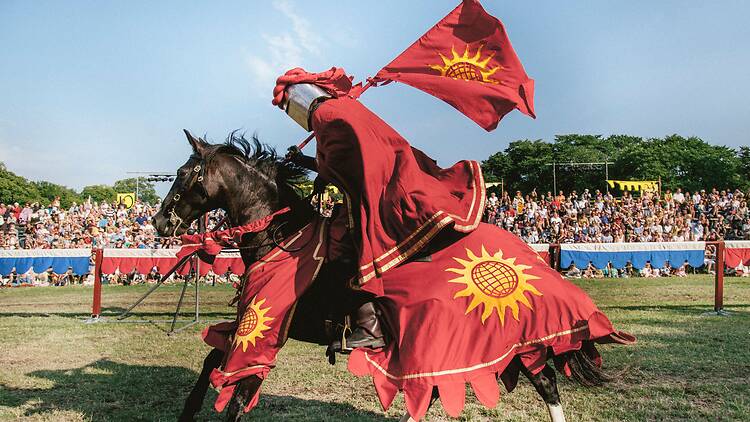 Watch jousting at Strandgärdet in Visby Watch jousting at Strandgärdet in Visby