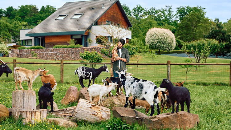Airbnb Thibaut Pinot Airbnb Thibaut Pinot