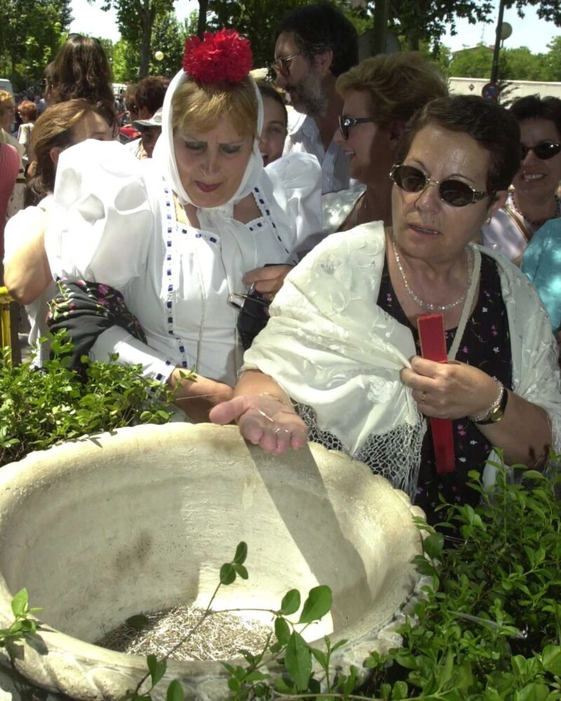 Fiestas de San Antonio de la Florida