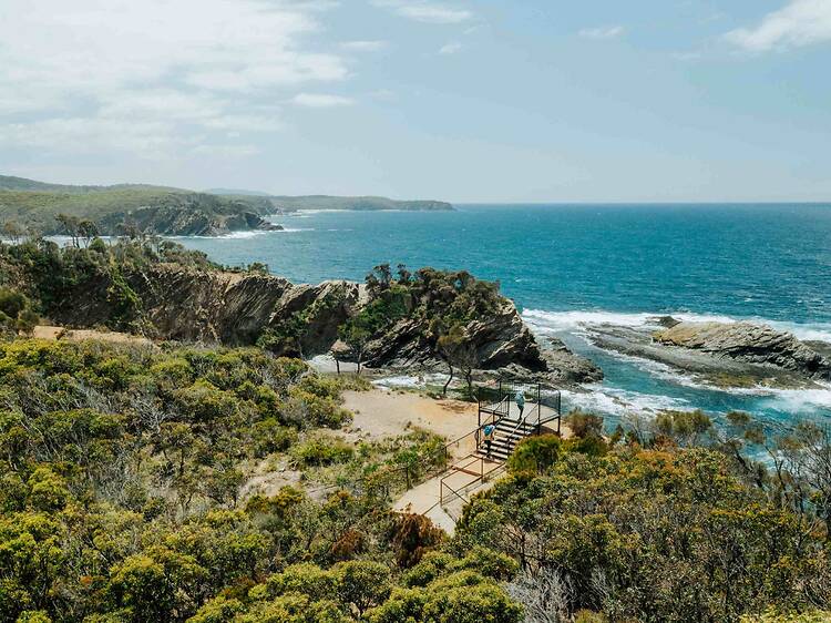 These are the 7 best hikes in NSW for whale-watching