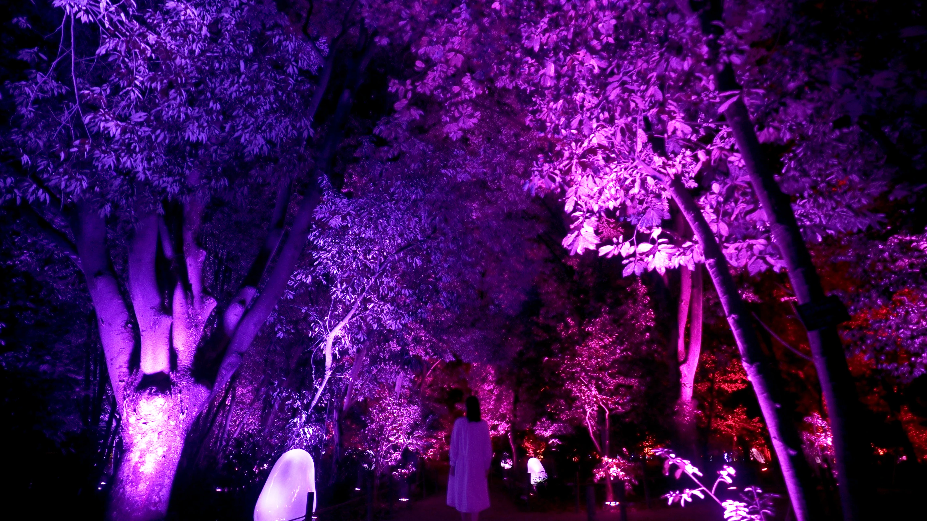teamLab Botanical Garden