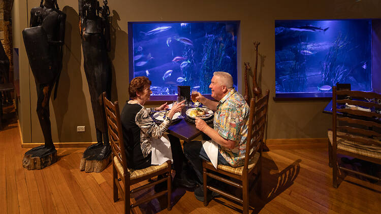 Couple dining in front of aquarium